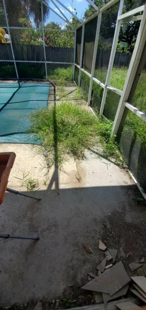 Reliable outdoor landscaping experts serving Wahneta, FL - Giddens General Services