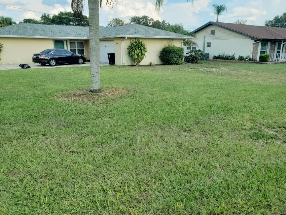 Professional outdoor landscaping for residential properties across Wahneta, FL - Giddens General Services