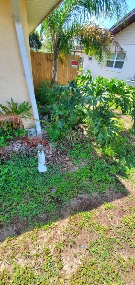 Top-rated yard cleanup service near you in Wahneta, FL by Giddens General Services