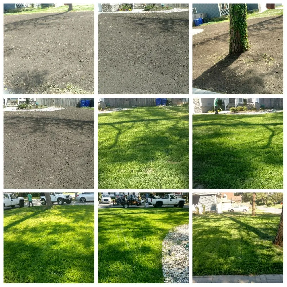 Professional residential landscaping in Virginia Beach, VA - Giddens Pressure Washing and Lawn Care