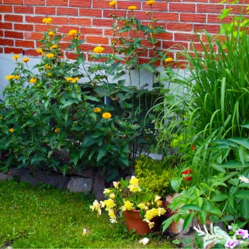 Top-rated yard maintenance near you across Giddings, TX - Giddings Landscaping, Tree & Lawn