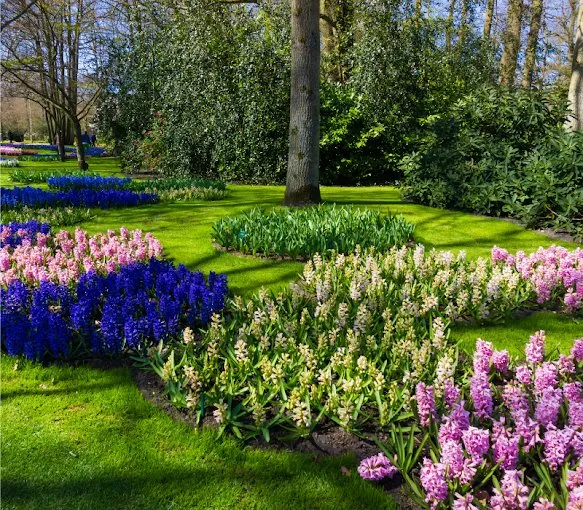 Local yard cleanup service for homes in Giddings, TX by Giddings Landscaping, Tree & Lawn