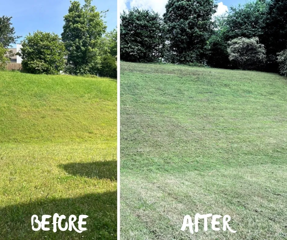 Expert residential landscaping experts serving Kennesaw, GA - Gifcore Dynamics