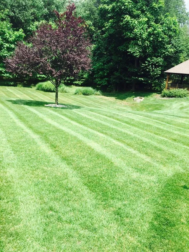 Affordable lawn care service in Verona, NJ - Gifford's Landscaping