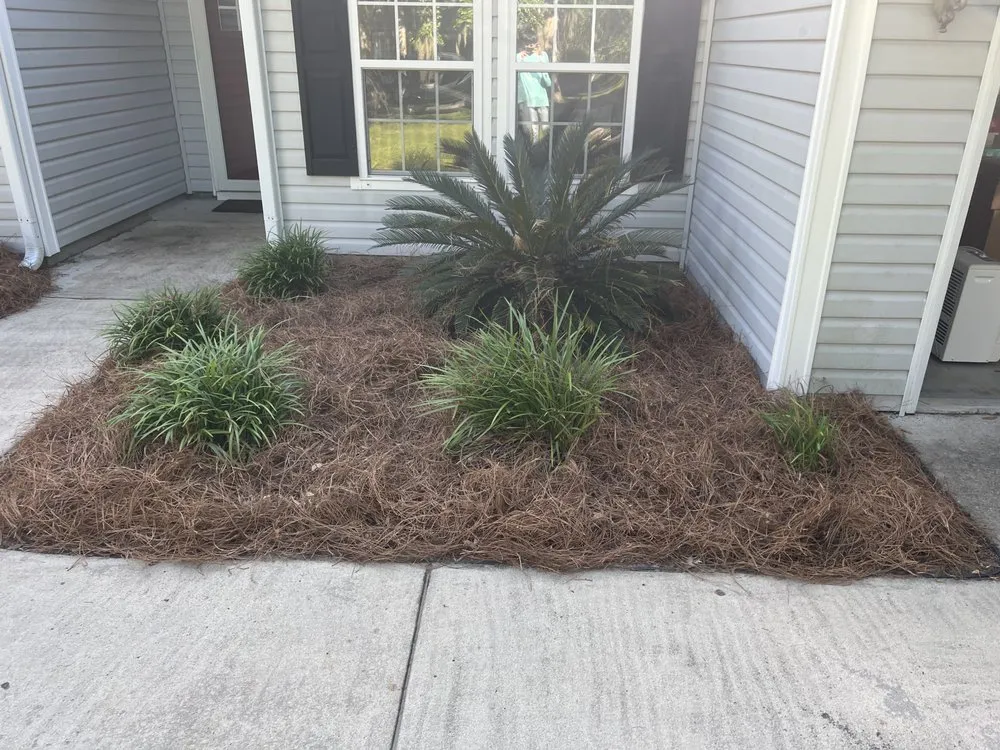 Expert landscape design for residential properties across Beaufort, SC - Gifted Grass Cutters