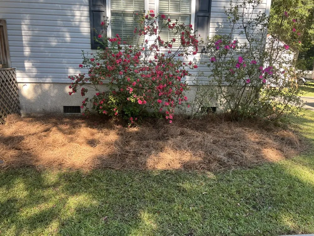 Affordable lawn mowing service experts serving Beaufort, SC - Gifted Grass Cutters