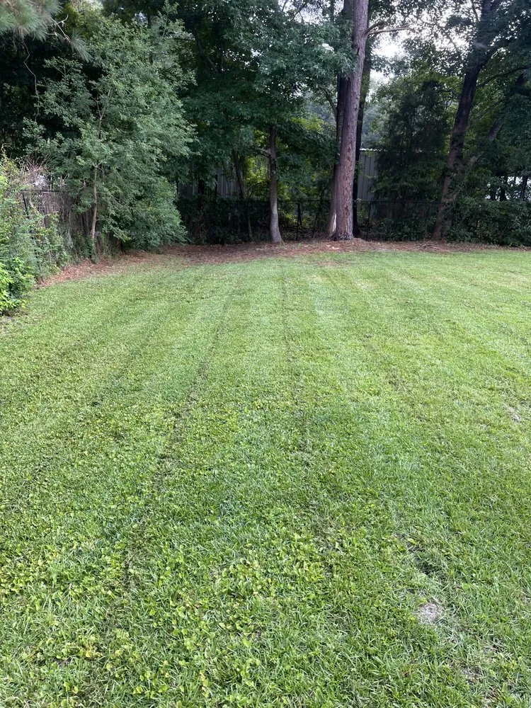Expert yard maintenance for year-round maintenance in Beaufort, SC by Gifted Grass Cutters