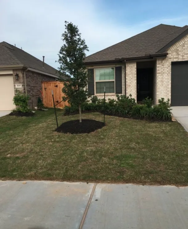 Professional yard maintenance experts serving Richmond, TX - Gifted Hands Landscaping Services