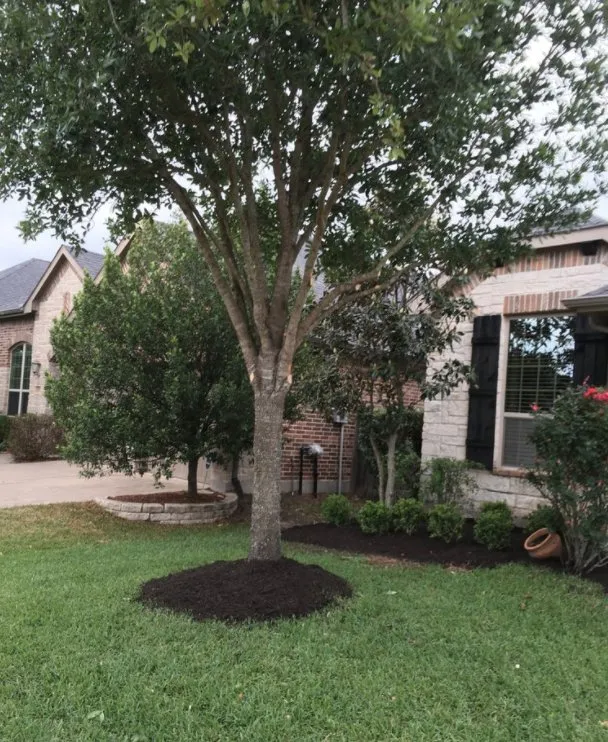 Professional landscape design for outdoor upgrades in Richmond, TX by Gifted Hands Landscaping Services