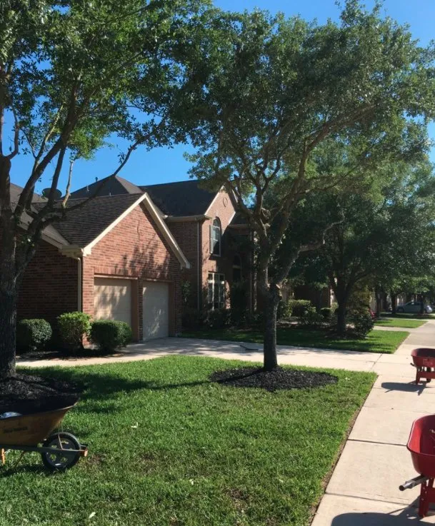 Expert yard maintenance for residential properties across Richmond, TX - Gifted Hands Landscaping Services
