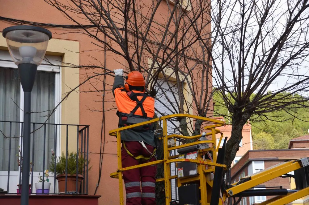 Trusted garden landscaping for year-round maintenance in Portland, OR by Gifted Hands Tree Service and Landscape