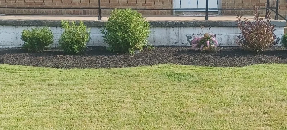 Top-rated outdoor landscaping near you in Maple Heights, OH by Gifted Pro Landscaping