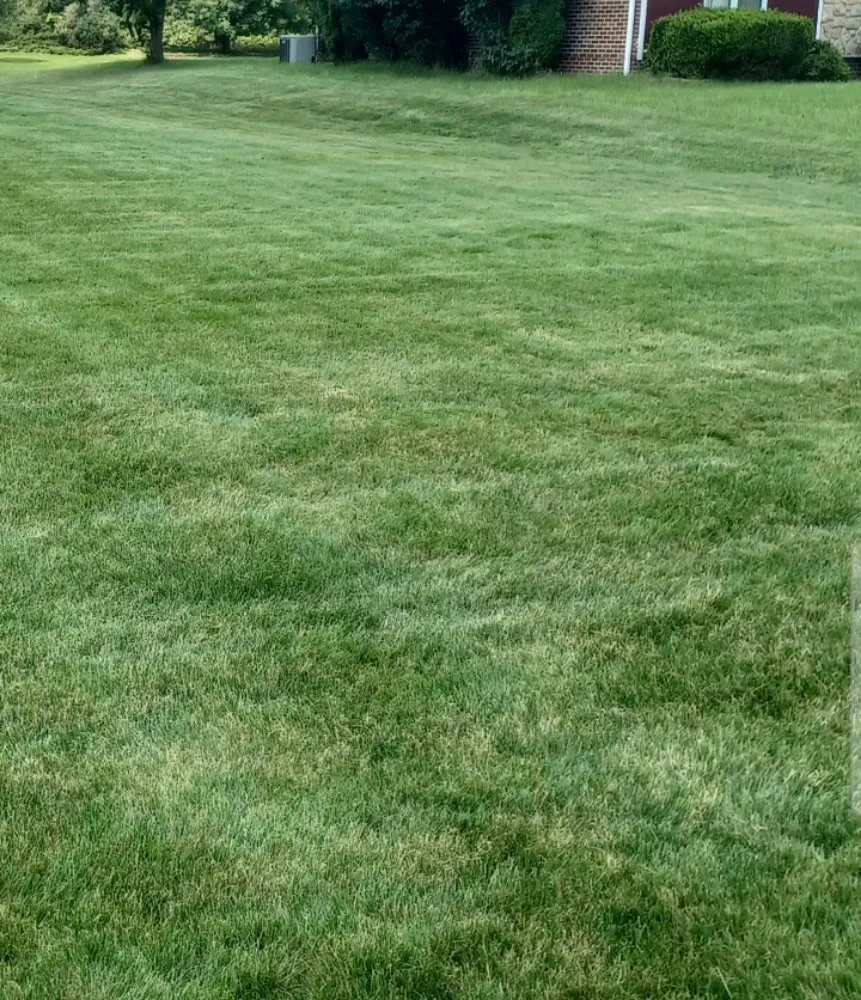 Professional lawn care service in Maple Heights, OH - Gifted Pro Landscaping