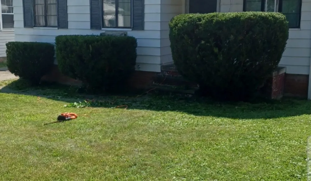 Reliable lawn mowing service in Maple Heights, OH - Gifted Pro Landscaping