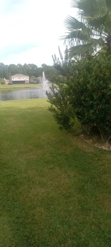 Local outdoor landscaping for year-round maintenance in Callahan, FL by Gifted Talents