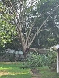 Professional outdoor landscaping experts serving Vancouver, WA - Giftedhands Tree Service & Landscaping