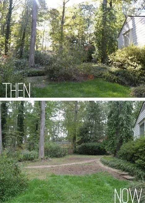 Expert lawn care service experts serving Vancouver, WA - Giftedhands Tree Service & Landscaping