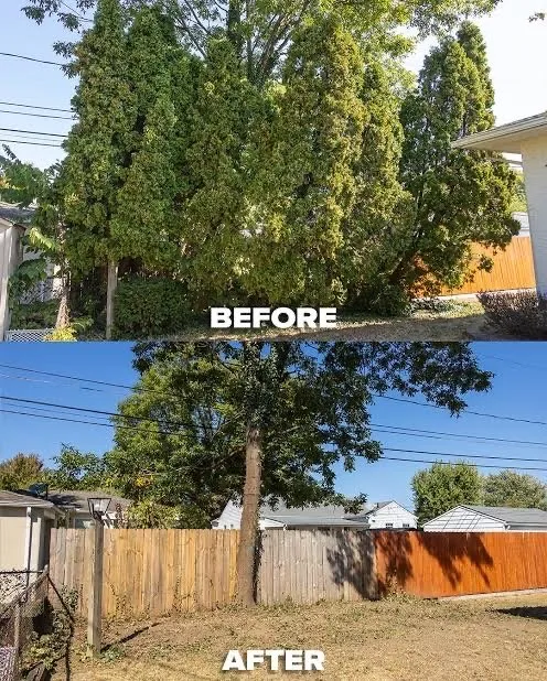 Custom landscape installation in Vancouver, WA by Giftedhands Tree Service & Landscaping