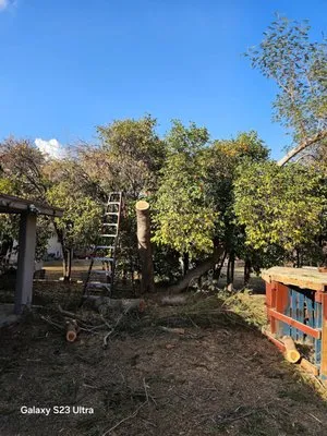 Giftedhands Tree Service & Landscaping Logo