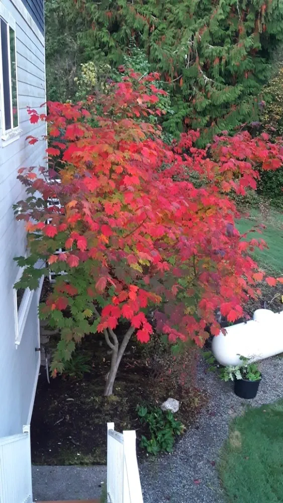 Local residential landscaping in Gig Harbor, WA by Gig Harbor LandCare