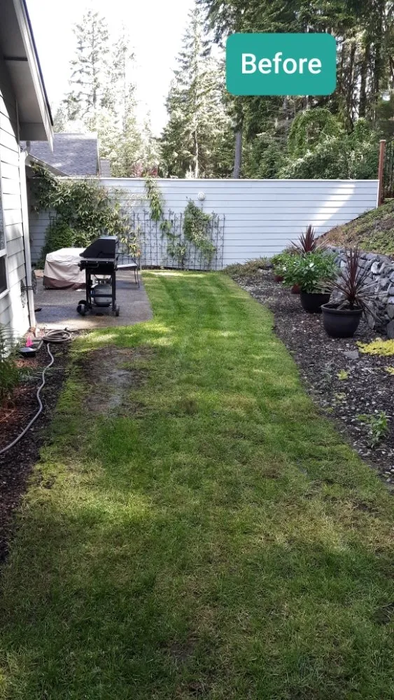 Custom landscape installation in Gig Harbor, WA by Gig Harbor LandCare