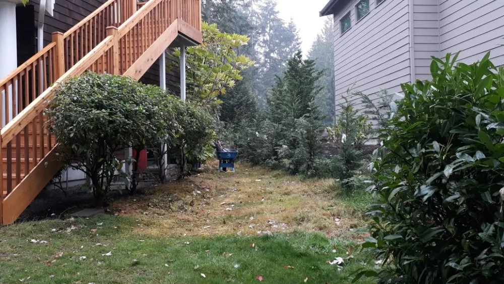 Expert landscaping services for homes in Gig Harbor, WA by Gig Harbor LandCare