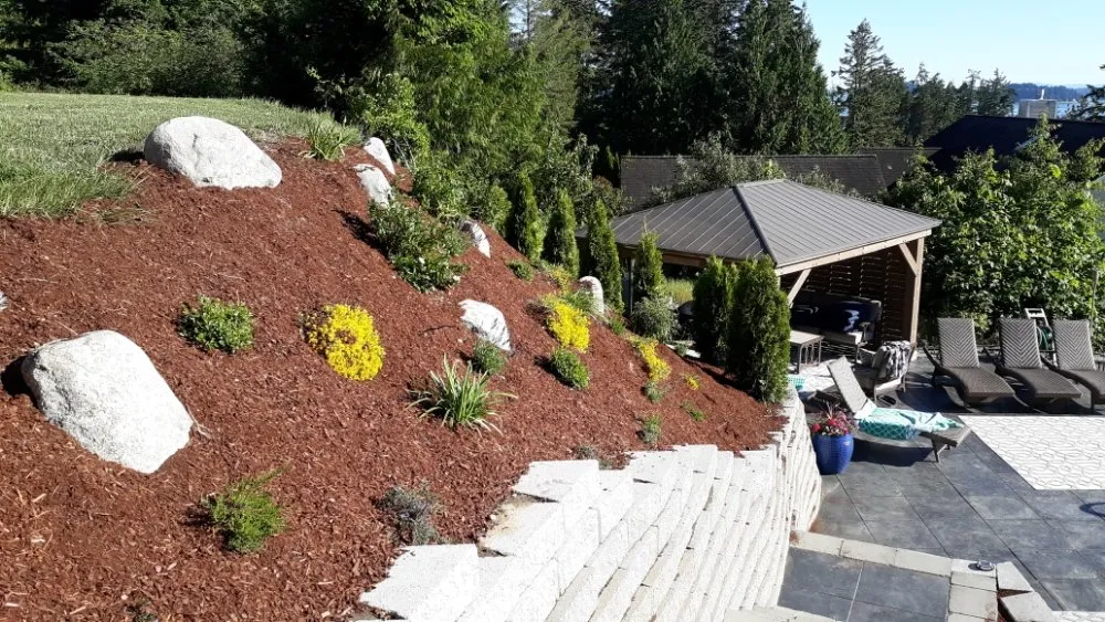 Expert yard cleanup service in Gig Harbor, WA by Gig Harbor LandCare