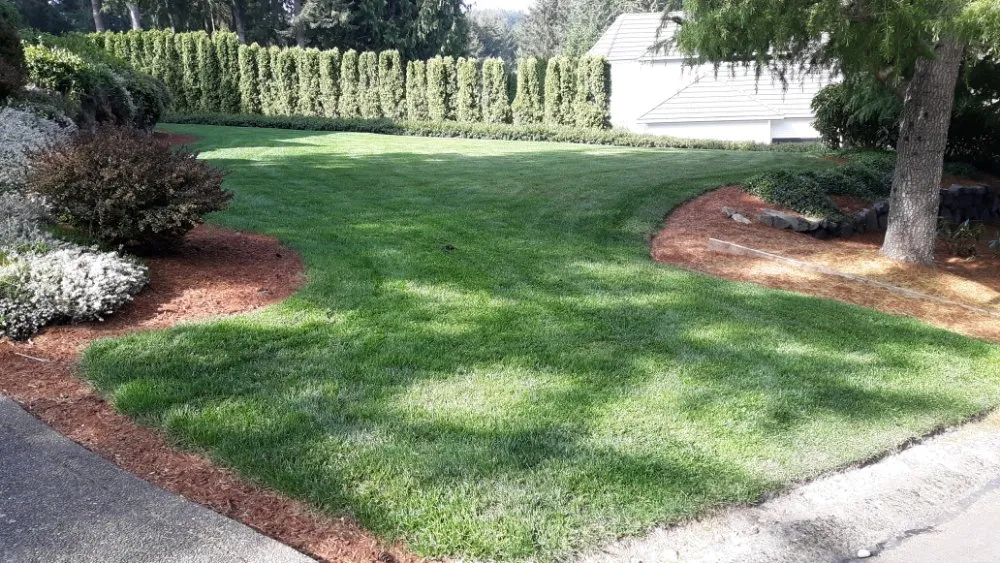 Custom landscape installation in Gig Harbor, WA - Gig Harbor LandCare