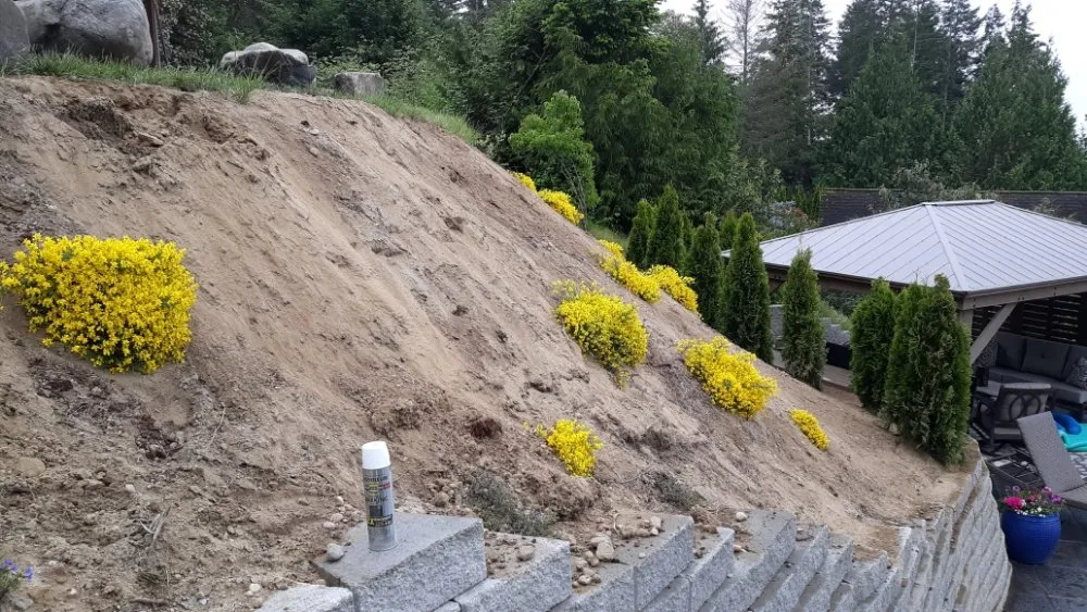 Affordable garden landscaping in Gig Harbor, WA by Gig Harbor LandCare