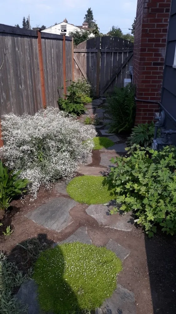 Trusted garden landscaping in Gig Harbor, WA - Gig Harbor LandCare