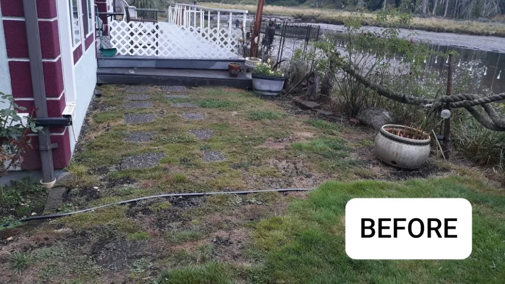 Custom yard cleanup service in Gig Harbor, WA by Gig Harbor LandCare
