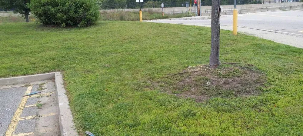 Affordable landscape installation experts serving Springfield, MA - Gig Lawn Care