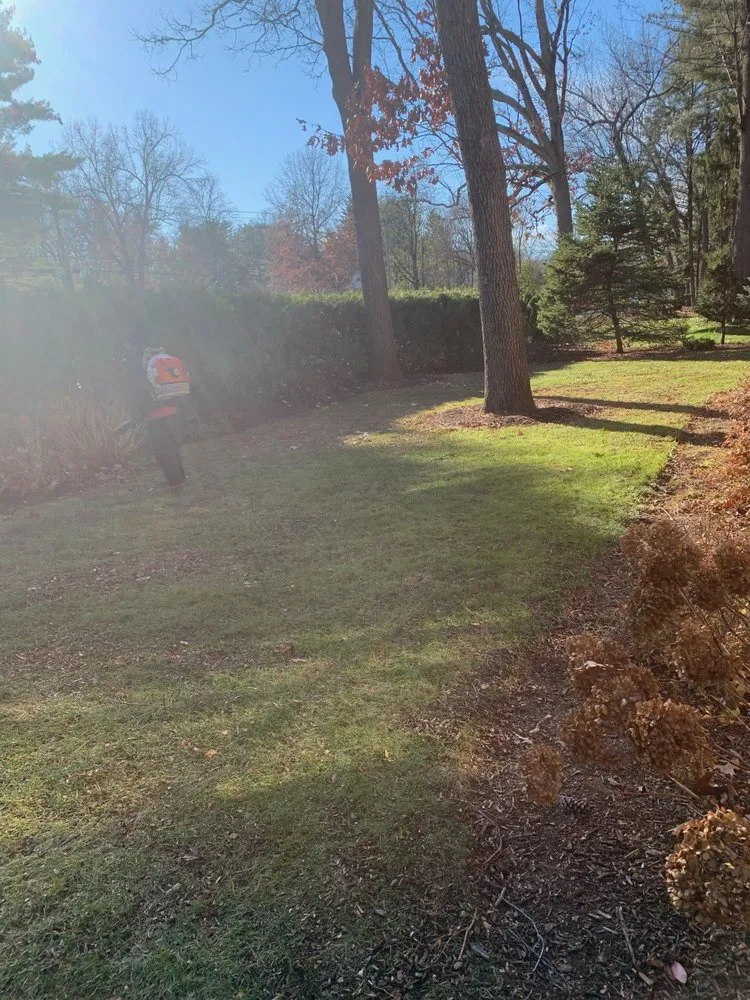 Reliable yard cleanup service for homes across Springfield, MA - Gig Lawn Care