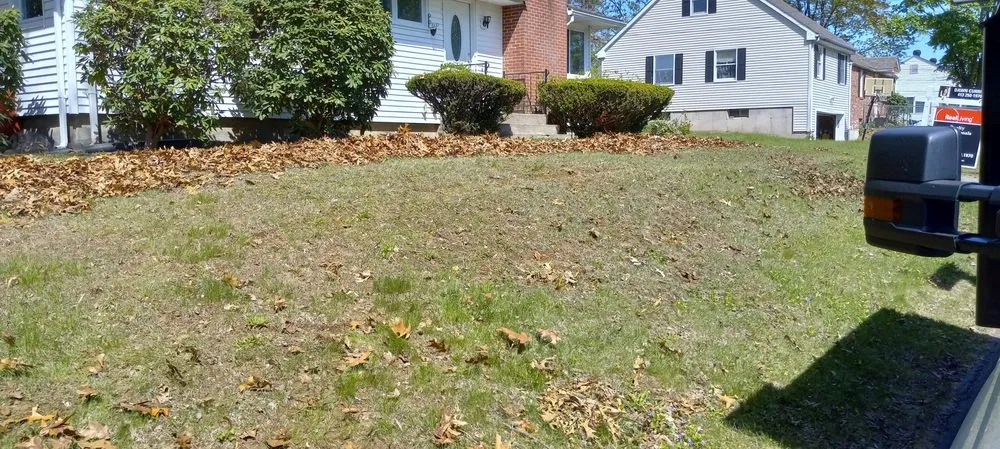 Trusted lawn mowing service in Springfield, MA by Gig Lawn Care