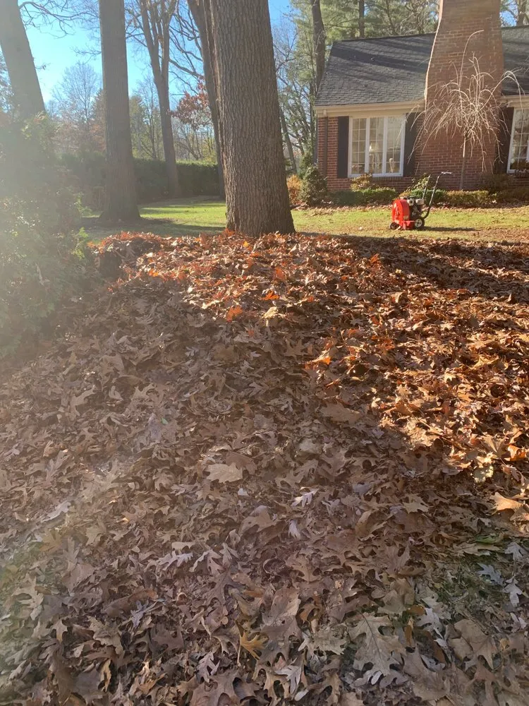 Local garden landscaping for homes across Springfield, MA - Gig Lawn Care