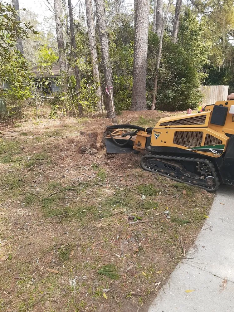 Affordable landscape design experts serving Havana, FL - GIG Outdoors