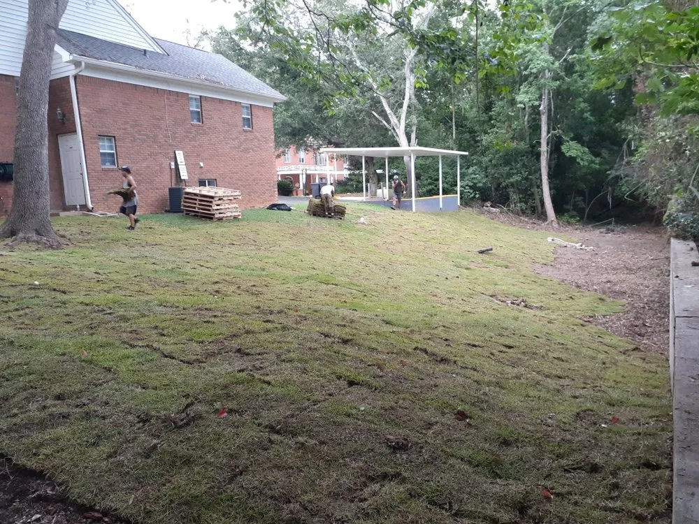 Local yard cleanup service in Havana, FL - GIG Outdoors