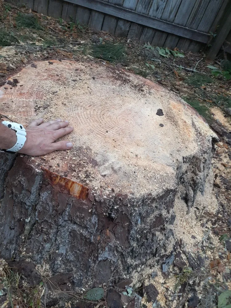 Top-rated lawn mowing service in Havana, FL - GIG Outdoors