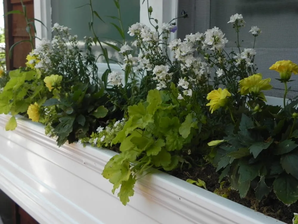 Expert landscape design experts serving Burlingame, CA - Gigi McAdam Landscapes