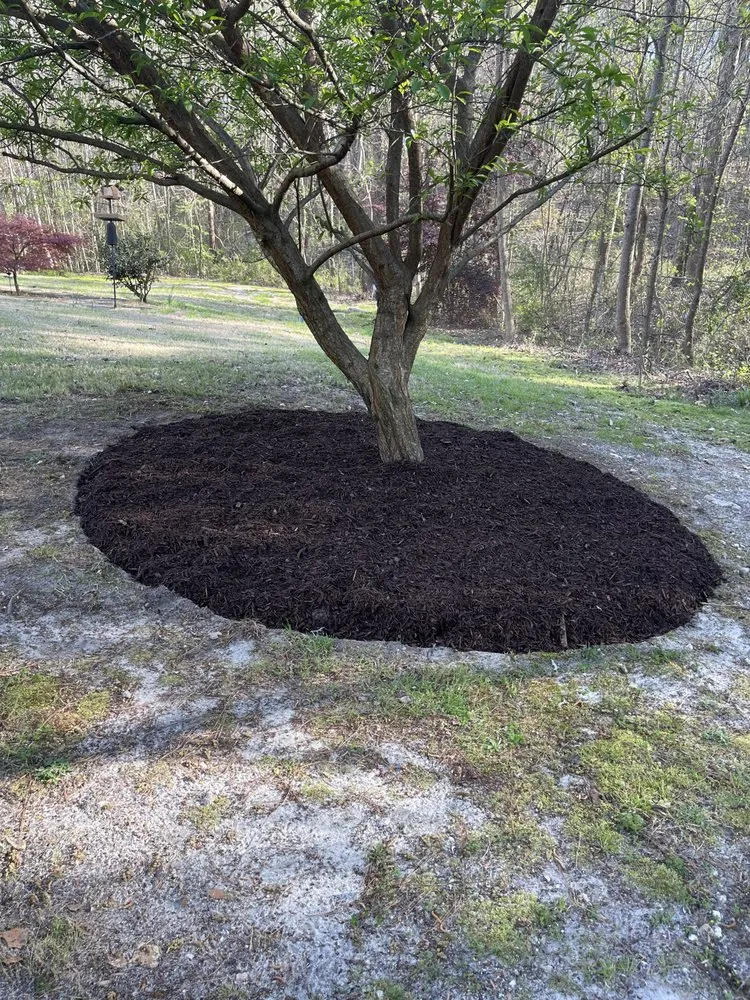 Expert yard cleanup service in Columbia, SC - Gigi’s Groovy Grass