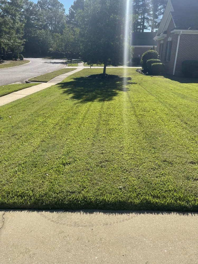 Professional outdoor landscaping in Columbia, SC by Gigi’s Groovy Grass