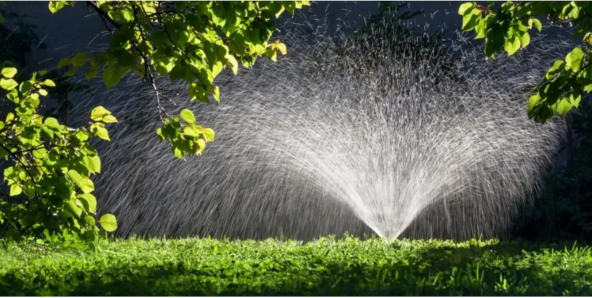 Top-rated yard cleanup service in Auburndale, FL by Giglandscaping