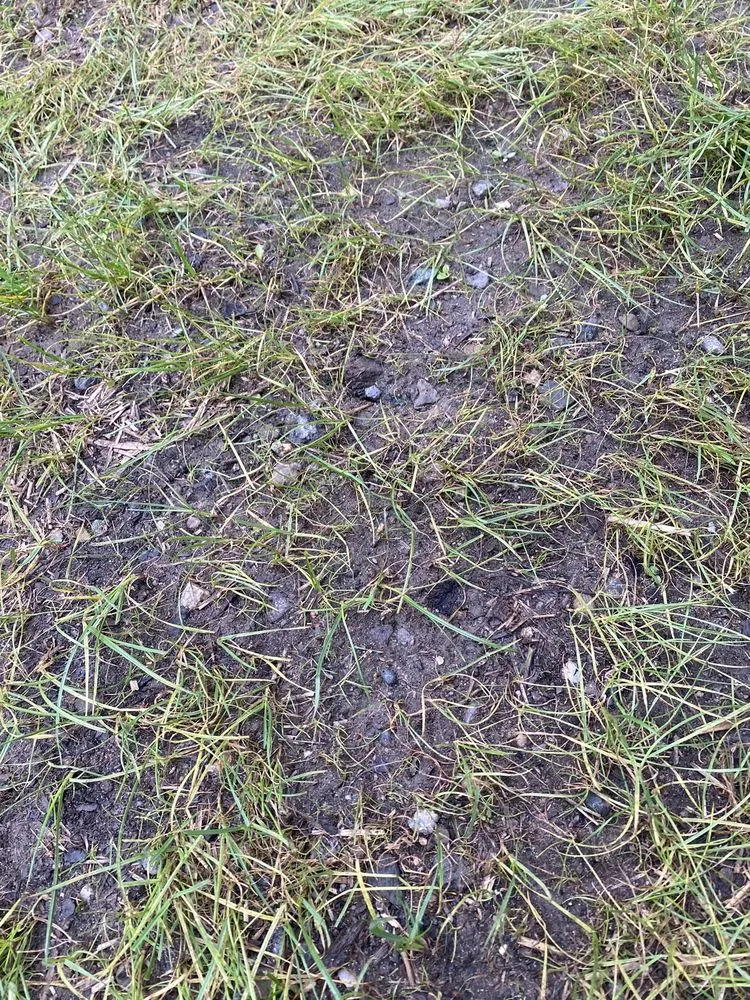 Reliable outdoor landscaping for outdoor upgrades in Norwalk, CT by Giglio Landscape Services