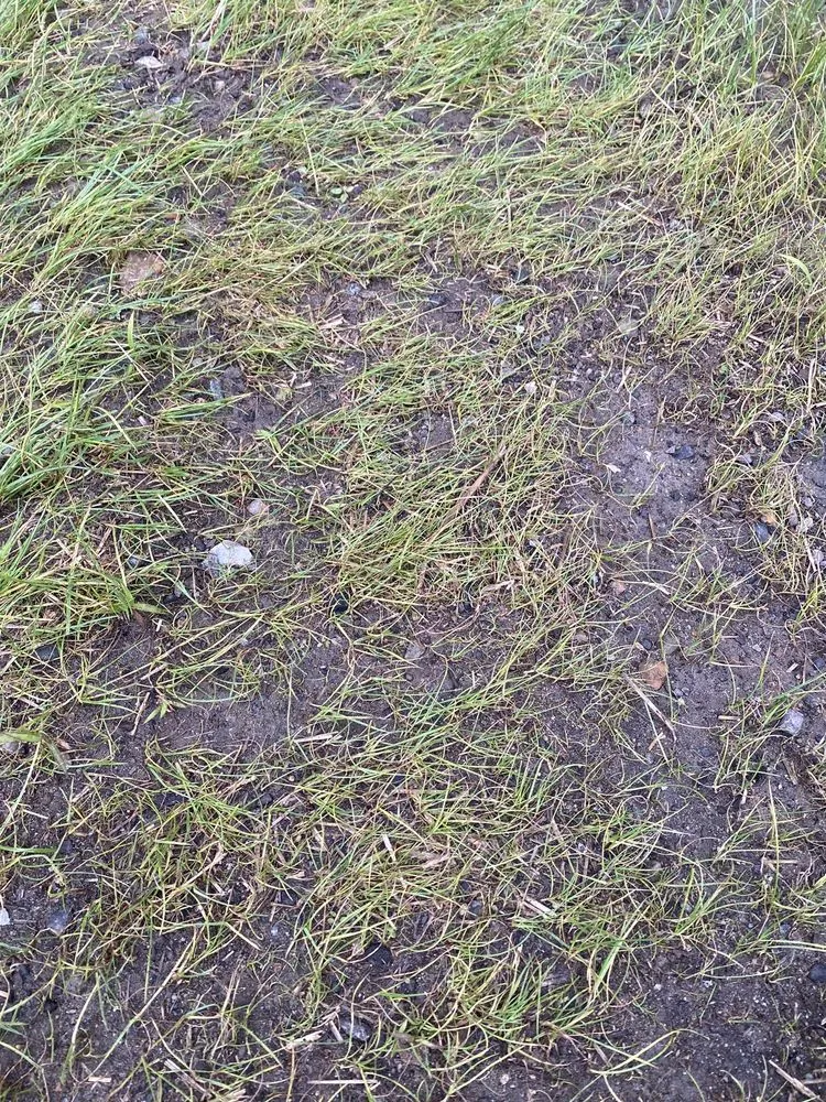 Professional residential landscaping experts serving Norwalk, CT - Giglio Landscape Services