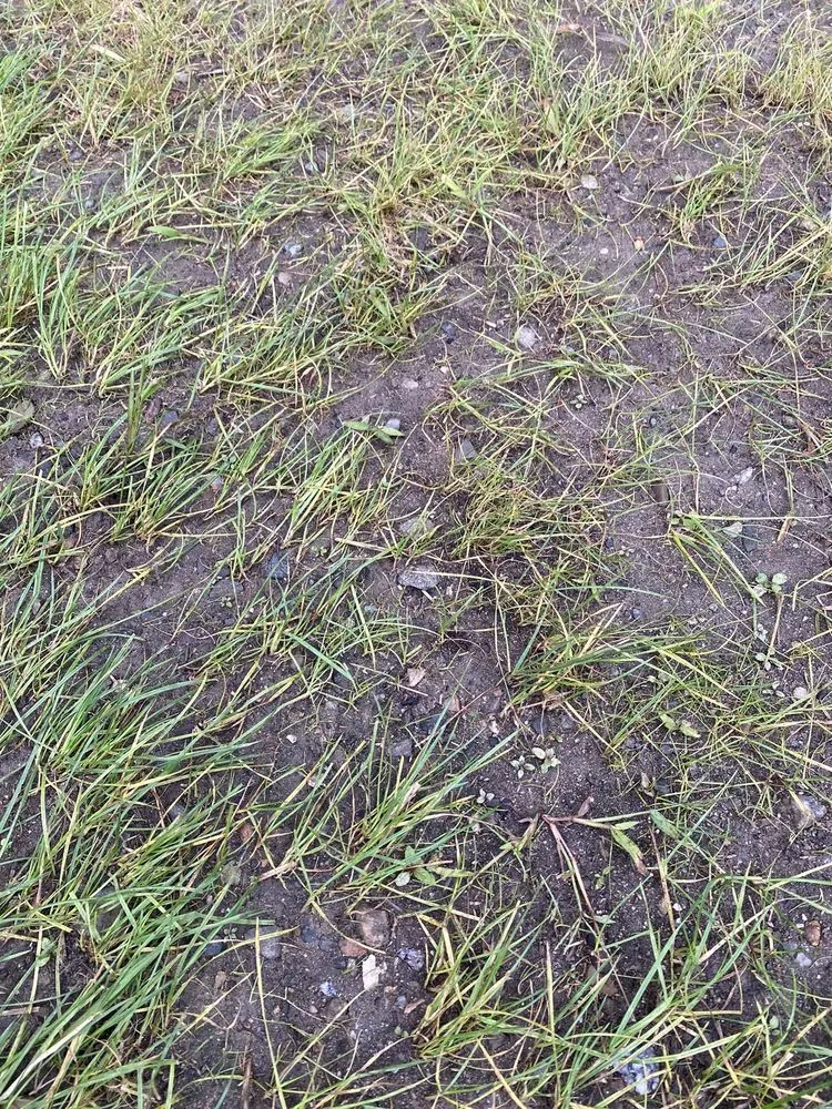 Expert yard maintenance for outdoor upgrades across Norwalk, CT - Giglio Landscape Services