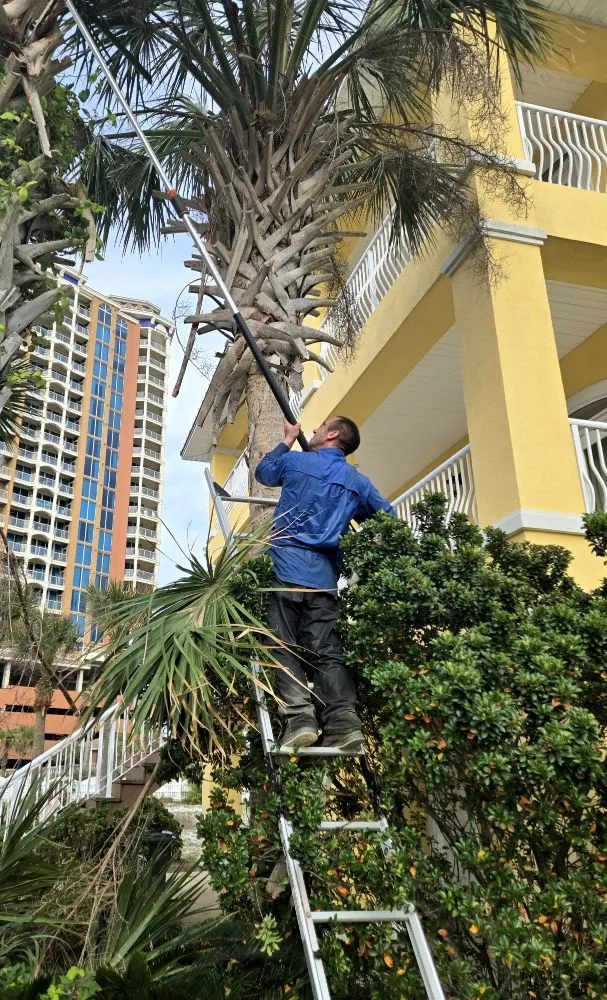 Reliable lawn mowing service for beautiful yards in Pensacola, FL by Giglio Lawn Services