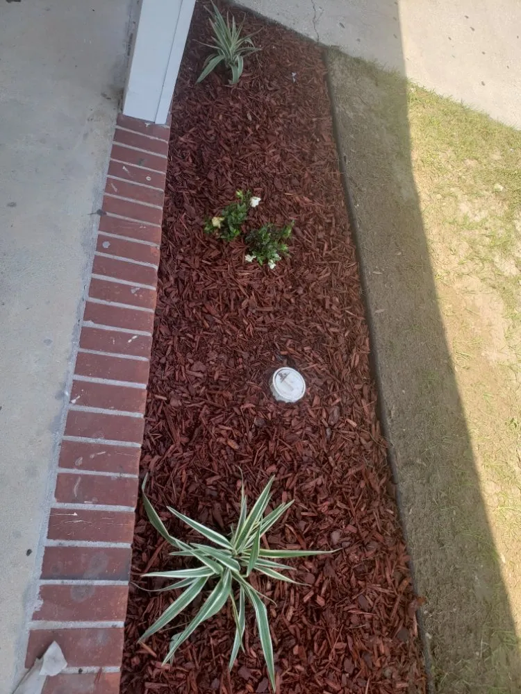 Reliable yard maintenance experts serving Pensacola, FL - Giglio Lawn Services