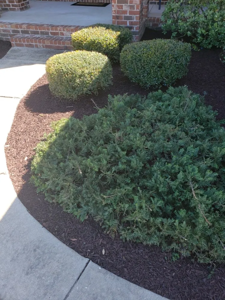 Affordable residential landscaping in Pensacola, FL by Giglio Lawn Services
