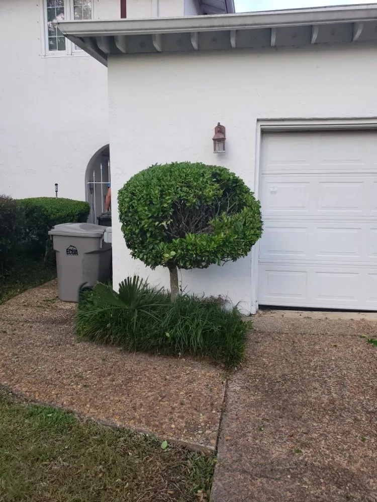 Reliable lawn care service for outdoor upgrades across Pensacola, FL - Giglio Lawn Services