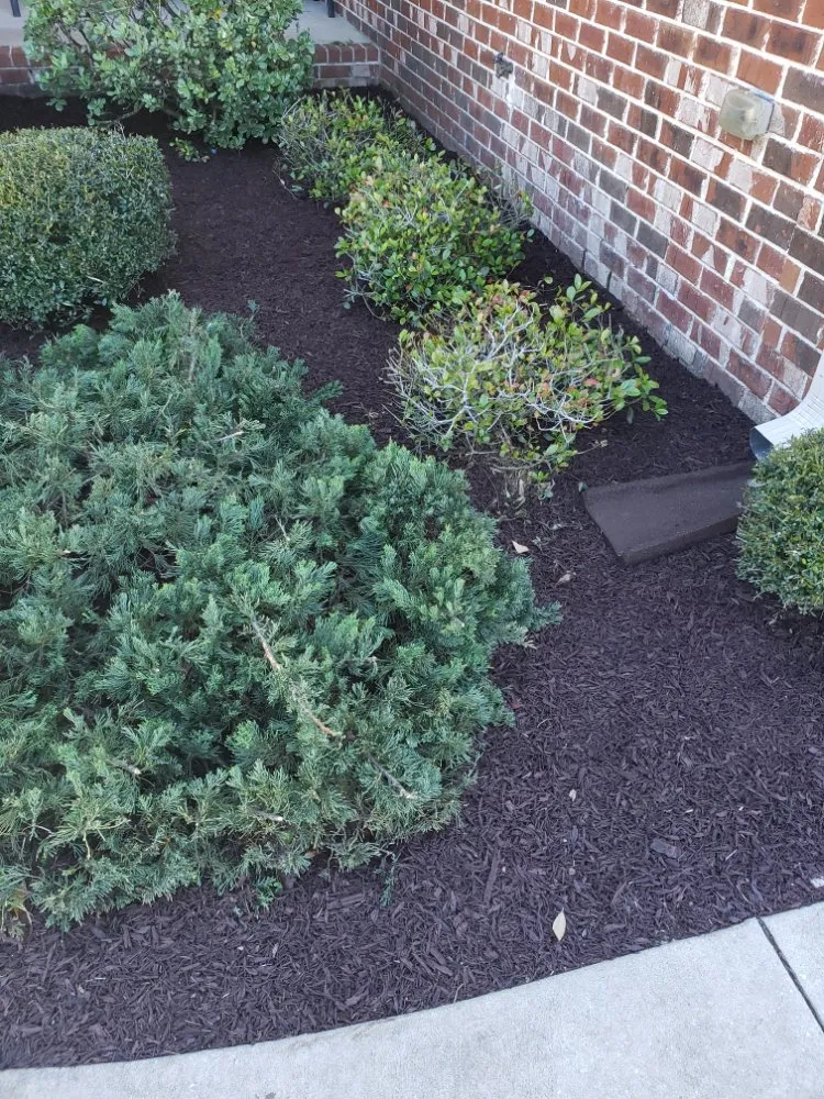 Custom landscape design in Pensacola, FL - Giglio Lawn Services